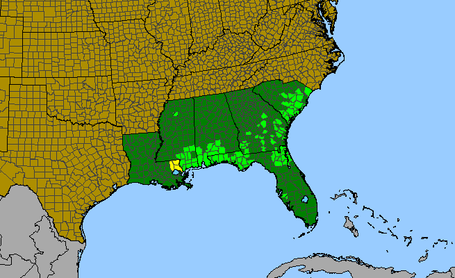 The range of Asclepias michauxii